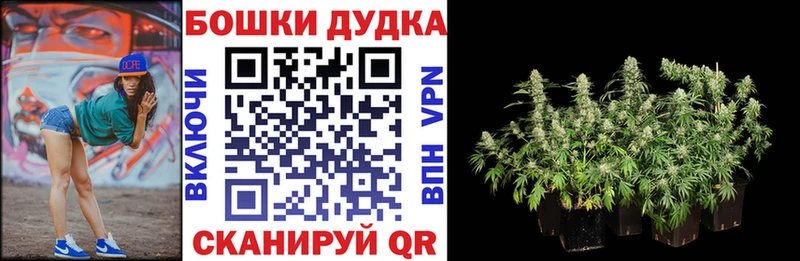 Магазины продажи наркотиков Устюжна Cocaine ГАШИШ