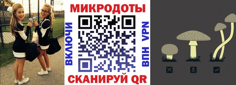 omg ссылка  Устюжна  Галлюциногенные грибы Magic Shrooms 